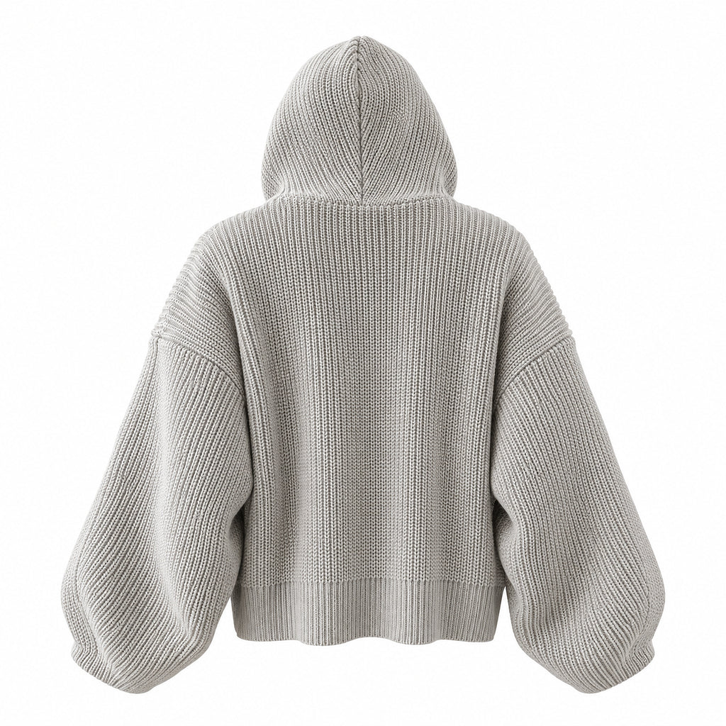 Men's Chunky-Knit Hooded Zip Cardigan in light gray - product view